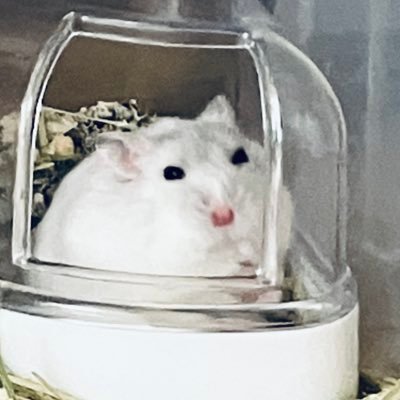 mipainckd14's profile picture. 慢性腎不全末期直後交通事故に遭い、脳脊髄液減少でブラットパッチ3回胸郭出口オペ、意味不明の痛みがあり、SG B、現在室内歩き、診察車椅子日常生活は🛏️上。線維筋痛症とわかり ブロック注しながフェント●4mg不整脈cFS併発 寝たきり状態気圧湿度で悪化。元医療者