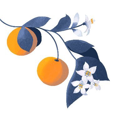 fruitful_app's profile picture. Track competitors instantly. Juicy insights every day 🍊🍋