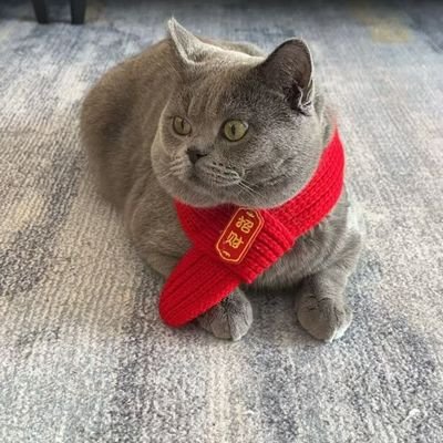 Yeming_Ni's profile picture. Ph.D @ UCAS
