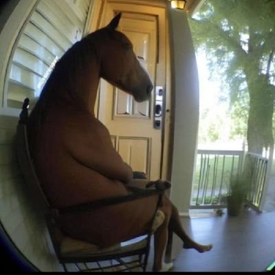 masoud_k1996's profile picture. IUST and UT graduate

https://t.co/SV4SpFbn6L