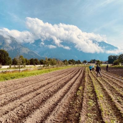 Lesley772's profile picture. 