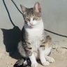 wagmigme's profile picture. 