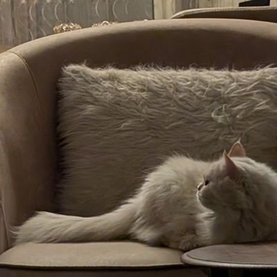 AlmuznMohammed's profile picture. الما عنده محبه ماعنده الحبه. معماريه وبتاعت داتا وارقام