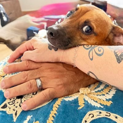 YolyJibara's profile picture. SUPER MEGA FELIZMENTE CASADA CON EL AMOR DE MI VIDA, EL MEJOR HOMBRE DEL MUNDO! ❤️🦋PLENAMENTE FELIZ!!!