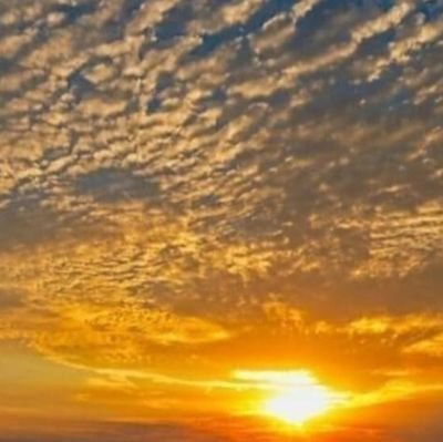 negoAbcd's profile picture. 