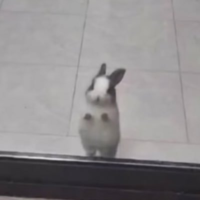 kesarpista_'s profile picture. Itti si tu hai, ni, hain, aafat macha rakhi hai🫵 Handle with care yaar, I'm a fragile"😘