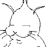 petscoboba's profile picture.