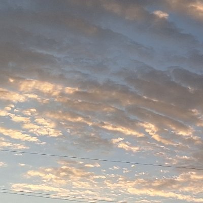 rose1964x3's profile picture. T
time