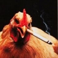 nan_roca Profile Picture