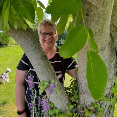 steincherr's profile picture. 