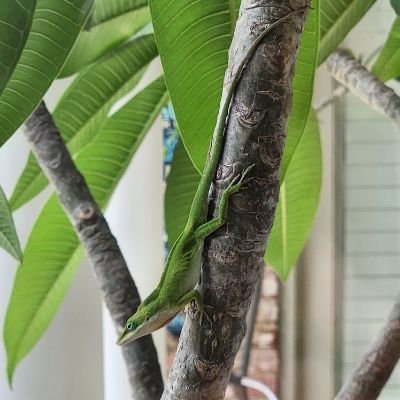 kimcolejj's profile picture. Hard-working wife, mother, God-loving, animal loving, gun-slinging Republican.