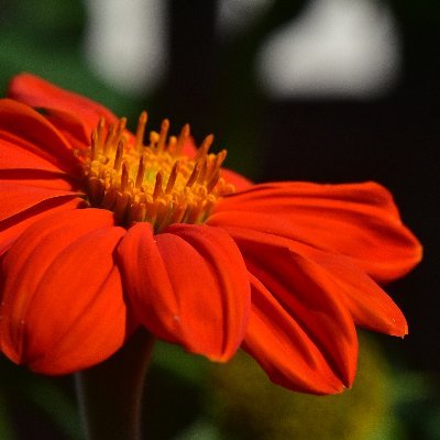 KazMan357885's profile picture. 