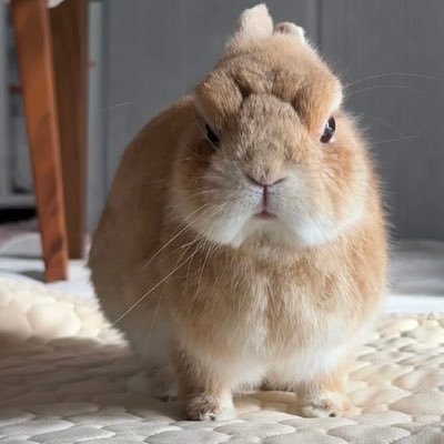 InnaKalini97034's profile picture. Anoma gnoma(🧙‍♂️,🧙‍♂️) (✸,✸) 🦄,🦄). 🧙🧙,🧙,⛺