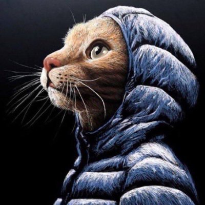 VidsLesbians's profile picture. 