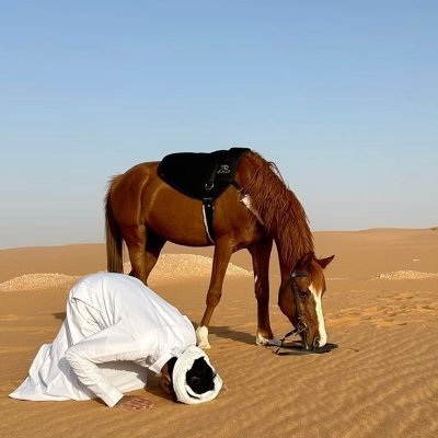 lkld490105's profile picture. كشتاتي سر سعادتي.. والباقي تفاصيل 🍃