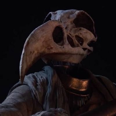 Zanderitinho's profile picture. Renascido das cinzas