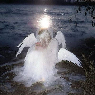 syu_u1014's profile picture. 