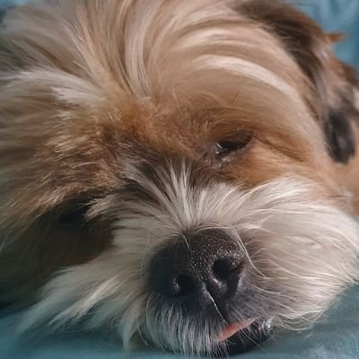 Vinisallles89's profile picture. 