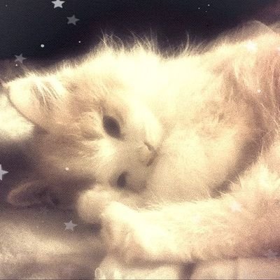 ammysus678's profile picture. 