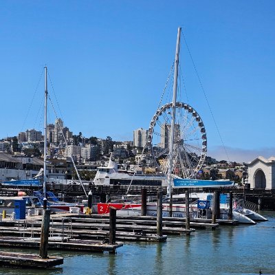 Sujon22572096's profile picture. Book lover, plant parent (RIP to the ones I forgot to water), and professional napper with a side of ambition.