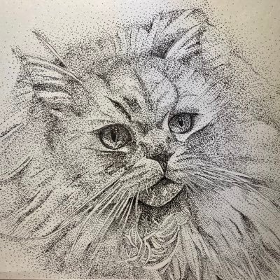 ねこねこ式部さんのプロフィール画像