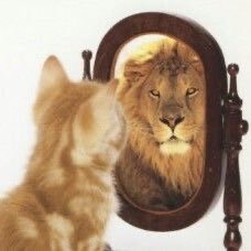 xerobitches's profile picture. gym and monkey d luffy