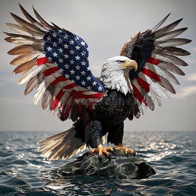 Corey0815850641's profile picture. Conservative, MAGA, America First, 🚫 DM’s unless you want to connect over my posts. 🚫 crypto, 🚫 porn (sad we have to specify all this)