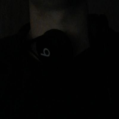 shbruc's profile picture. 