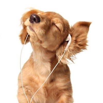 hikazzzi's profile picture. 