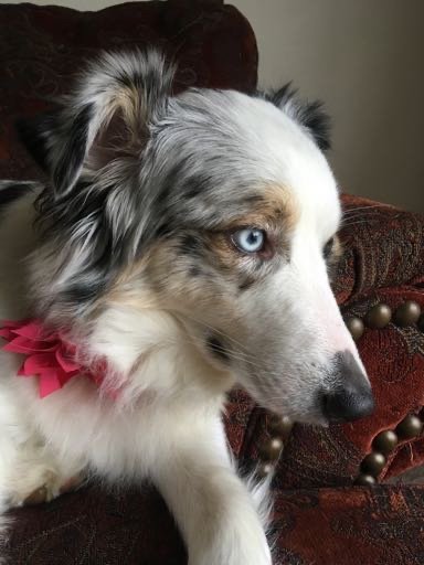 tatumstarrl4lb's profile picture. 