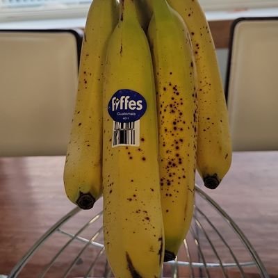 Rowan770455's profile picture. 