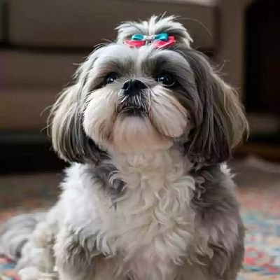 Peachrae001's profile picture. Techie's favorite reply girl..... Crochet enthusiast.... Living on web3 energy 🌍✨