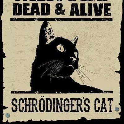 honeyhornet66's profile picture. 물리학과 재학중. 주식하다가 레전드 FOMO와서 코인판 입문.