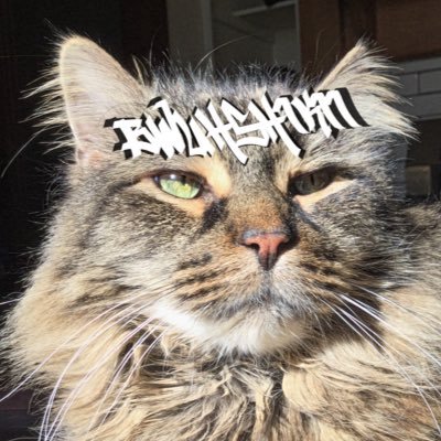 Rip_BUH's profile picture. insta:https://t.co/cabgKShgRs twitch: https://t.co/v5qu7AD1HS