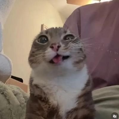 au_lacon's profile picture. 