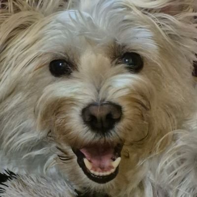 Rhonda221330435's profile picture. 