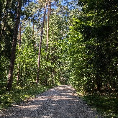 Vin20727's profile picture. 