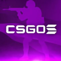 CSGOSOL (@csgosolcom) 's Twitter Profile