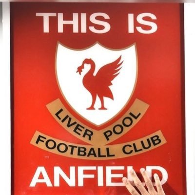 oton55's profile picture. I’m an aerospace engineer. I love football, Maerklin, Igo, and playing the guitar. You’ll never walk alone !!