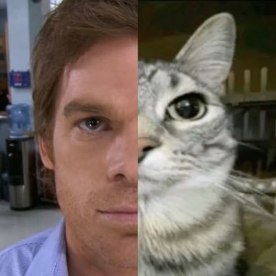 RealArthropod's profile picture. 