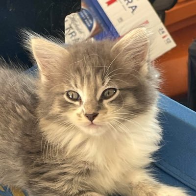 Guddubh10124026's profile picture. Adventure awaits ✈️