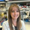 smherbrich's profile picture. Postdoctoral fellow at @MDAndersonNews. Budding immunologist. Bioinformatics journeyman. Stray animal collector. Tweets (and misspelled words) are mine.