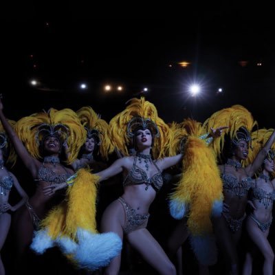 Pncddgn's profile picture. THE LIFE OF A SHOWGIRL