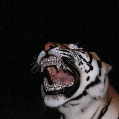 Dwightlewis_'s profile picture. 