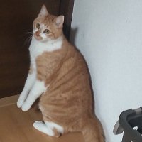 ちくにゃん (@wearex_j_jun) 's Twitter Profile Photo