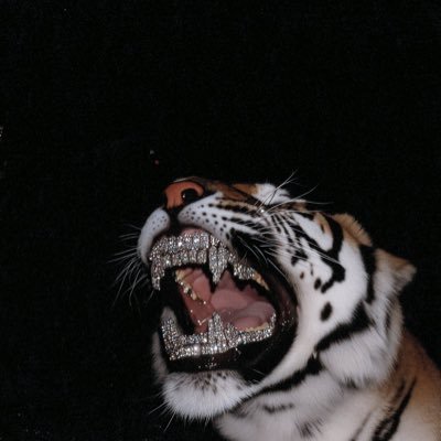 WWGGGWWW's profile picture. 