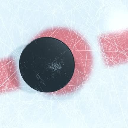 ArenaKommisar's profile picture. Eyes on junior hockey in BC.