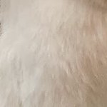 bunnyさんのプロフィール画像
