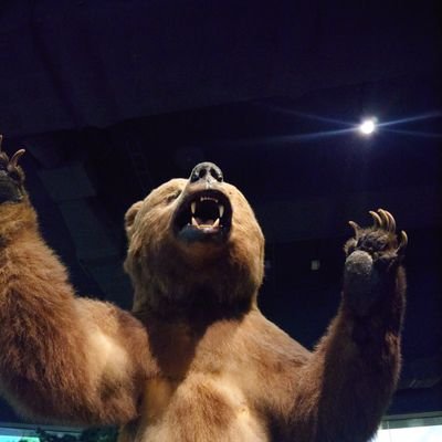 くま (@Neubauten3) / Posts / X