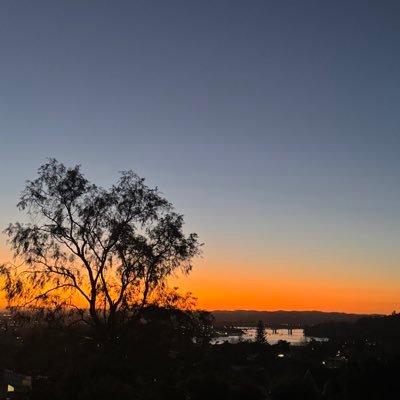 hone2256's profile picture. A positive attitude may not solve all your problems, but it will annoy enough people to make it worth the effort !
